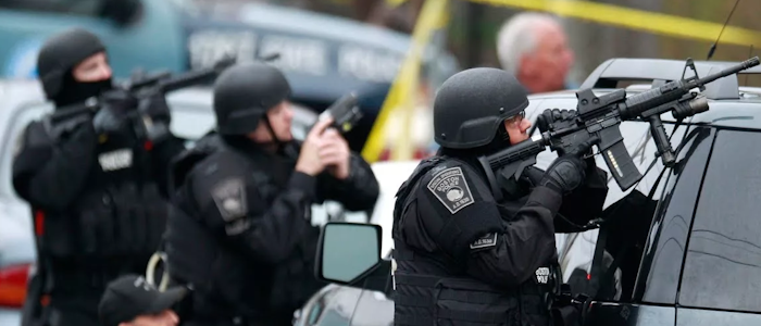 Полиция РЗВЛ