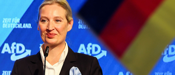 Лидер АдГ - Алиса Вайдель