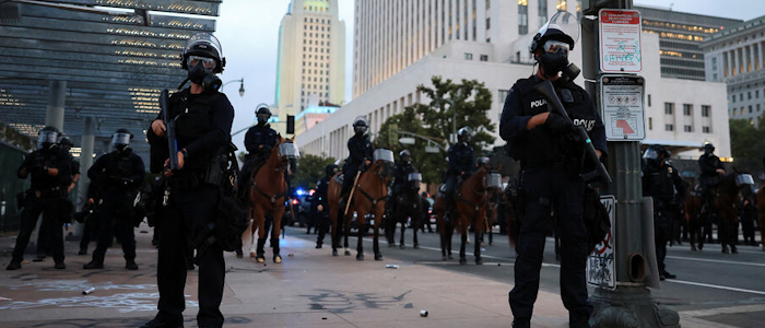 Полиция РЗВЛ