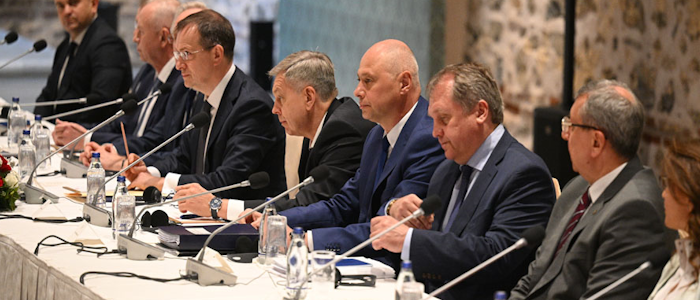 Владивостокский Мирный Договор